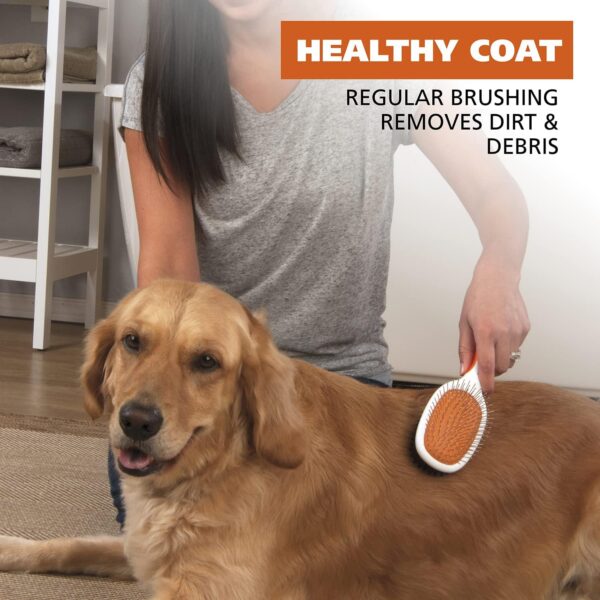 WAHL Cepillo para mascotas de doble cabeza con cerdas y pines 858501 - Imagen 2